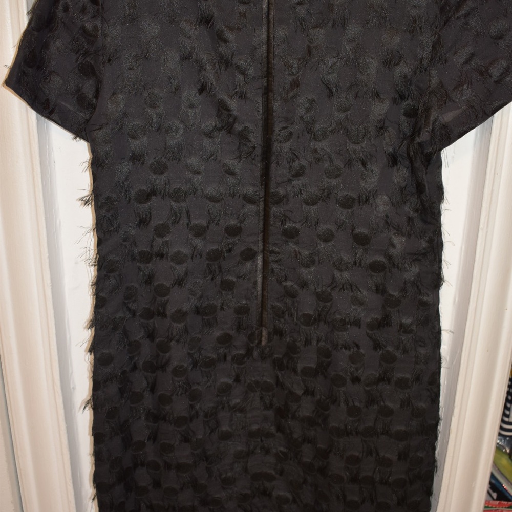 Black feather dress